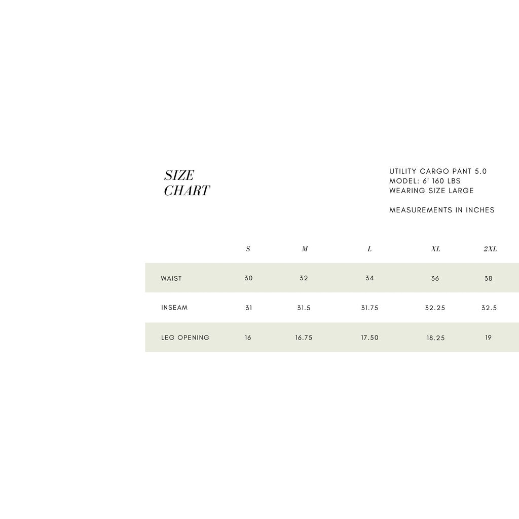 UTILITY CARGO PANT 5.0 - VINTAGE BLACK